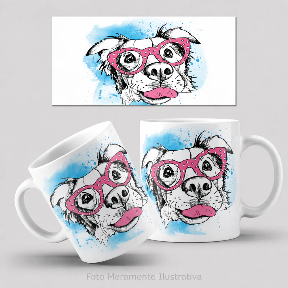 Pets 24
